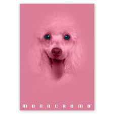 PIGNA Füzet Pigna Monocromo Pink A/4 tűzött 38 lapos vonalas füzet