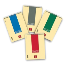 PIGNA Jegyzettömb spirálos Pignastyl A/5 vonalas 60 lapos jegyzettömb