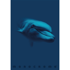 PIGNA Monocromo Blue 38 lapos A4 kockás füzet - Többfajta füzet