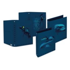 PIGNA monocromo blue a4 4 gyűrűs 40 mm gerinsszélességű gyűrűs könyv p1121-0011 gyűrűskönyv