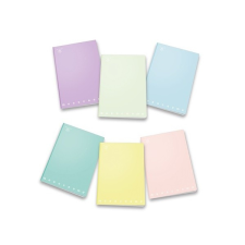 PIGNA monocromo pastel a4 42lapos tűzött vonalas füzet p1111-0306 füzet