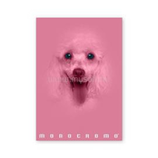 PIGNA Monocromo Pink A4 38 lap, tűzött, vonalas füzet (P1111-1292) füzet
