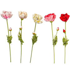  Pipacs szálas gumi M72cm 30db/# dekorációs kellék