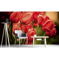 Piros tulipánok, poszter tapéta 375*250 cm tapéta, díszléc és más dekoráció