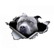 Pitbull matrica matrica