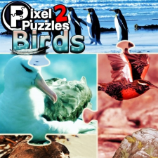  Pixel Puzzles 2 - Birds (Digitális kulcs - PC) videójáték