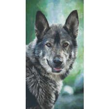  Pixel szett 24 normál alaplappal, színekkel, farkas (824022) kreatív és készségfejlesztő