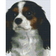 Pixel szett 4 normál alaplappal, színekkel, kutya, beagle (804208) kreatív és készségfejlesztő