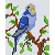 Pixelhobby 801101 Kék papagáj szett (10,1x12,7cm)