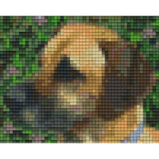 Pixelhobby 801186 Dog Kenya szett (12,7x10,1cm) kreatív és készségfejlesztő