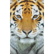 Pixelhobby Pixelhobby 808078 Tigris szett 8 alaplapos (25,4x40,6 cm) kreatív és készségfejlesztő