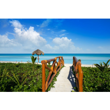  Plaja55 öntapadós és mosható fali tapéta, 200 x 150 cm tapéta, díszléc és más dekoráció