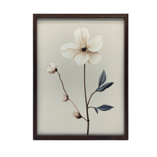 PLAKÁT FALRA ARANY KERETBEN, FEHÉR ANEMONE MINIMALISM 30x40 grafika, keretezett kép