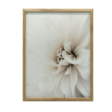 PLAKÁT FALRA ARANY KERETBEN FINOM FEHÉR DASLIA 30x40 CM grafika, keretezett kép