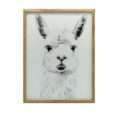 PLAKÁT FALRA ARANY KERETBEN FINOM LAMA 70x100 CM MATT PAPÍR grafika, keretezett kép