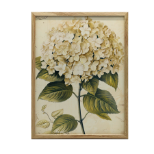  PLAKÁT KERET FALHOZ HIDRENZIÓS VIRÁGOK CLASSIC 50x70 CM grafika, keretezett kép
