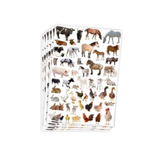 Playbox : Farm állatos matricák 300 db-os matrica