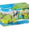 Playmobil 70522 Póni kiegészítőkkel