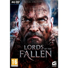 Plug-in-Digital Lords Of The Fallen - PC DIGITAL videójáték