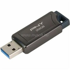 PNY PRO ELITE V2 USB 3.2 256GB pendrive (P-FD256PROV2-GE) pendrive