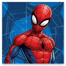 Pókember Web kéztörlő, arctörlő, törölköző 30x30cm lakástextília