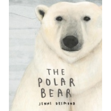  Polar Bear – JENNI DESMOND idegen nyelvű könyv