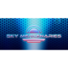 PolarityFlow Sky Mercenaries (PC - Steam elektronikus játék licensz)