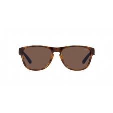 Polo Ralph Lauren PH4180U 500373 napszemüveg