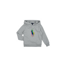 Polo Ralph Lauren Pulóverek PO HOOD-KNIT SHIRTS-SWEATSHIRT Szürke 6 ans