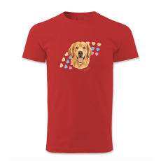 polofun.hu Golden retriever, szívecskés, Muki