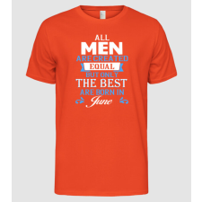 Pólómánia All men created equal....june - Férfi Alap póló férfi póló
