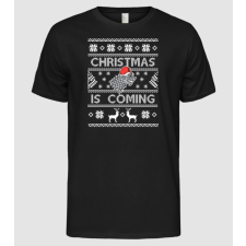Pólómánia Christmas is Coming ugly sweater Trónok harca - Férfi Alap póló férfi póló