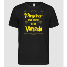 Pólómánia Gazdi vagyok nem varázsló artboard Pinscher - Férfi Alap póló