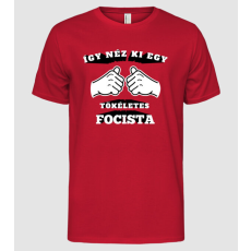 Pólómánia Így néz ki egy tökéletes ____FOCISTA - Férfi Alap póló