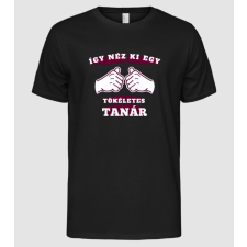 Pólómánia Így néz ki egy tökéletes TANÁR - Férfi Alap póló férfi póló