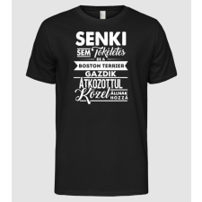 Pólómánia Senki sem tökéletes Boston Terrier - Férfi Alap póló férfi póló