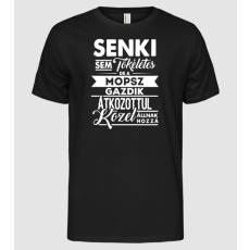 Pólómánia Senki sem tökéletes Mopsz - Férfi Alap póló