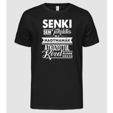 Pólómánia Senki sem tökéletes...nagymamák - Férfi Alap póló
