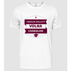 Pólómánia Tanulni kellett volna, csókolom - Férfi Alap póló