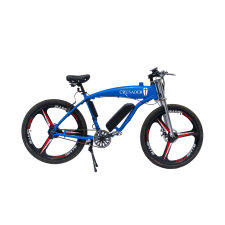 Polymobil ELEKTROMOS KERÉKPÁR E-MOB29 250W elektromos kerékpár