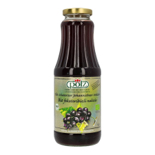  PÖLZ BIO FEKETERIBIZLILÉ 1000ML DRS üdítő, ásványviz, gyümölcslé