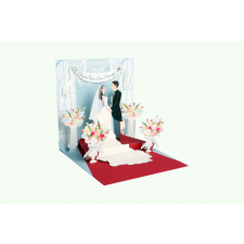 POPSHOTS STUDIOS LTD. Popshots képeslap, négyzet, Wedding Day/esküvős képeslap