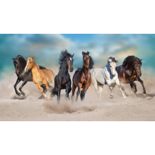  Porviharban vágtató lovak tapéta, 300 x 250 cm tapéta, díszléc és más dekoráció
