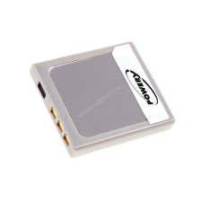 Powery Helyettesítő akku Sanyo Xacti DSC-E6 egyéb videókamera akkumulátor