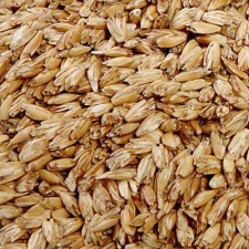  Prána tönkölyhéj párna töltet 500 g 500 g gyógytea
