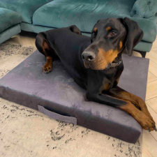  Prémium matrac kutyafekhely - Szürke XL: 80x120x15 cm szállítóbox, fekhely kutyáknak