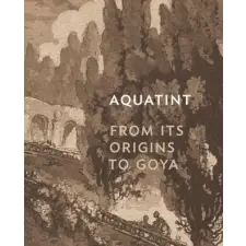 Princeton University Press Aquatint | Rena M. Hoisington egyéb könyv