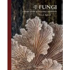 Princeton University Press Lives of Fungi | Britt Bunyard egyéb könyv