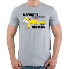 PRINTFASHION A sportot sohasem késő elkezdeni... - Férfi póló - Sport szürke