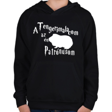 PRINTFASHION A Tengerimalacom az én Patrónusom - Gyerek kapucnis pulóver - Fekete gyerek pulóver, kardigán